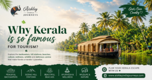 KERALA TOURS